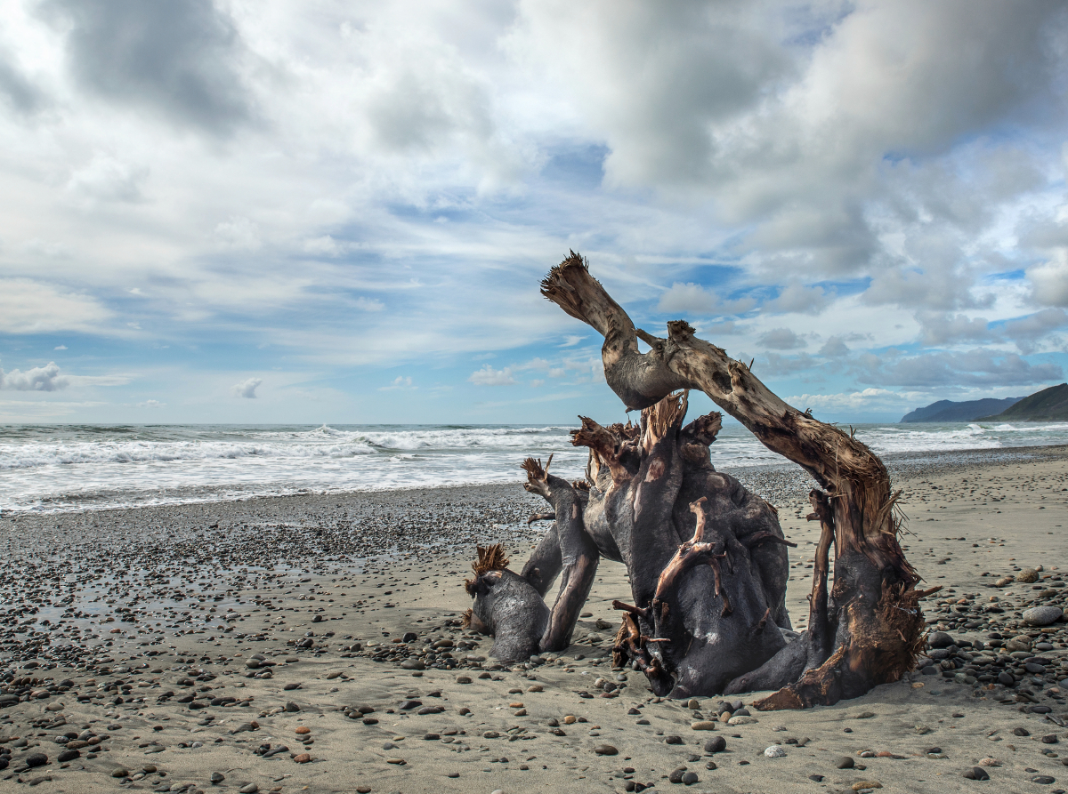 Ngakawau Beach, Neuseeland