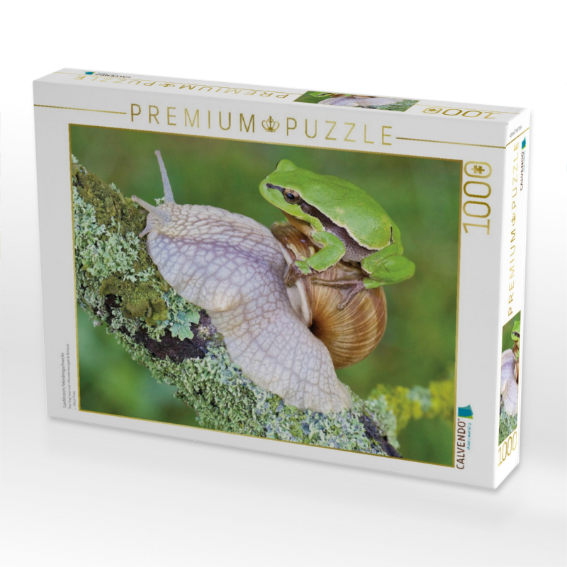 Laubfrosch/Weinbergschnecke