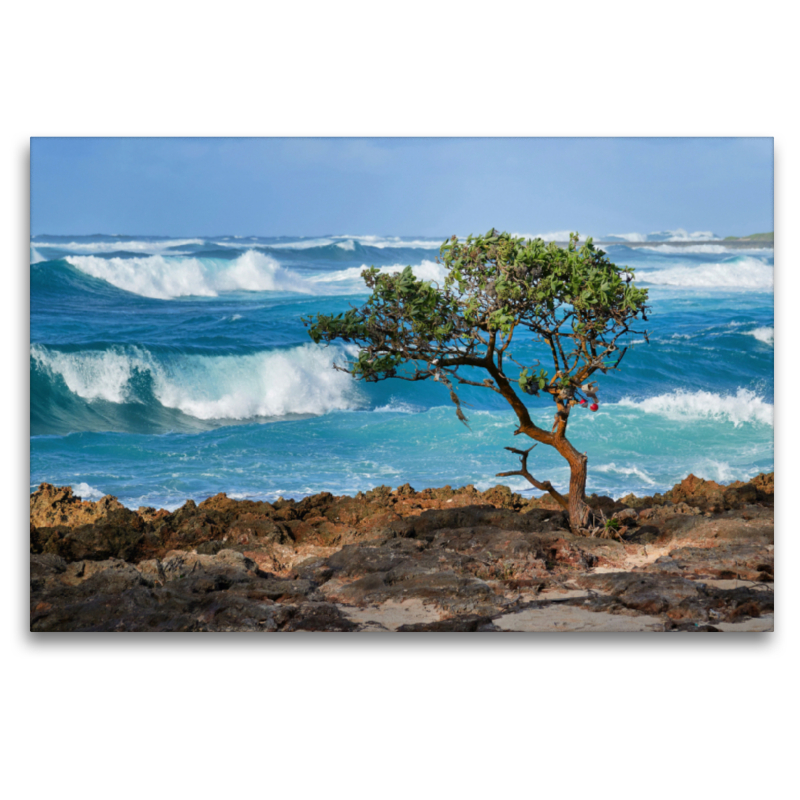 Wellen am Strand von North Shore auf der Insel Oahu auf Hawaii