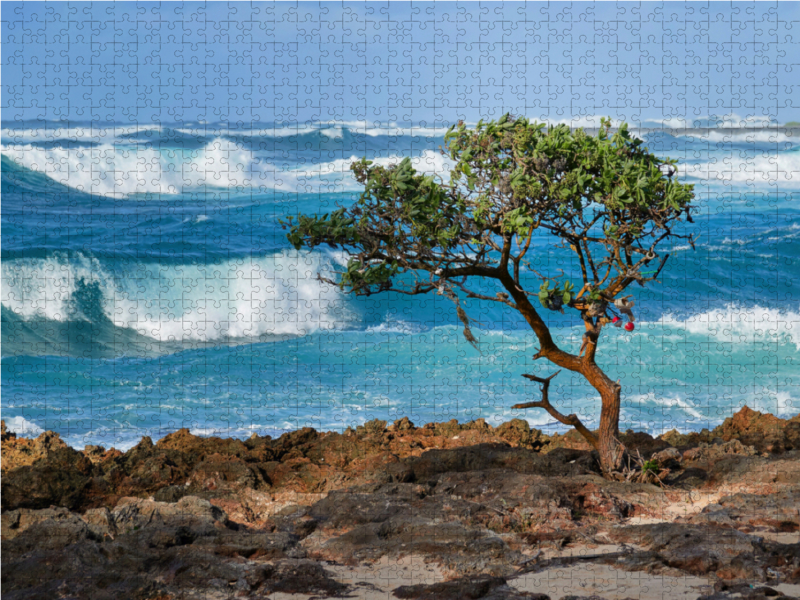 Wellen am Strand von North Shore auf der Insel Oahu auf Hawaii