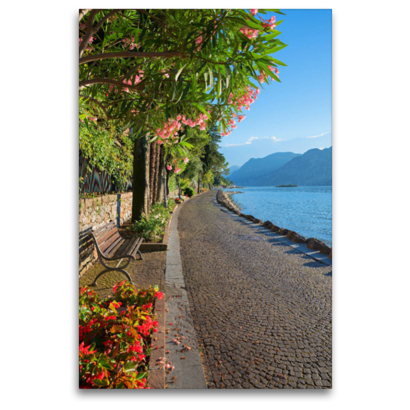 Seeuferweg am Gardasee, Malcesine