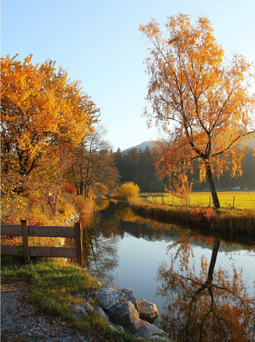 Herbstliche Stille am Fluss