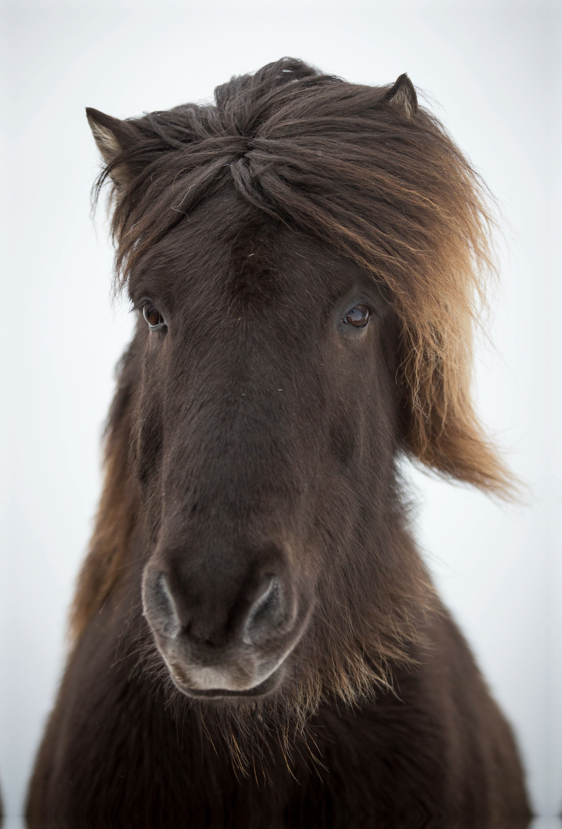 Wind in den Haaren