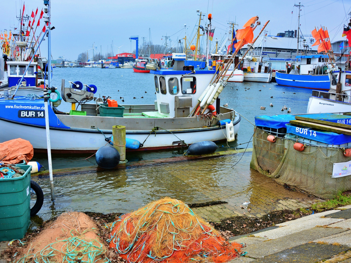 Am frühen Morgen gibt es frischen Fisch direkt vom Boot