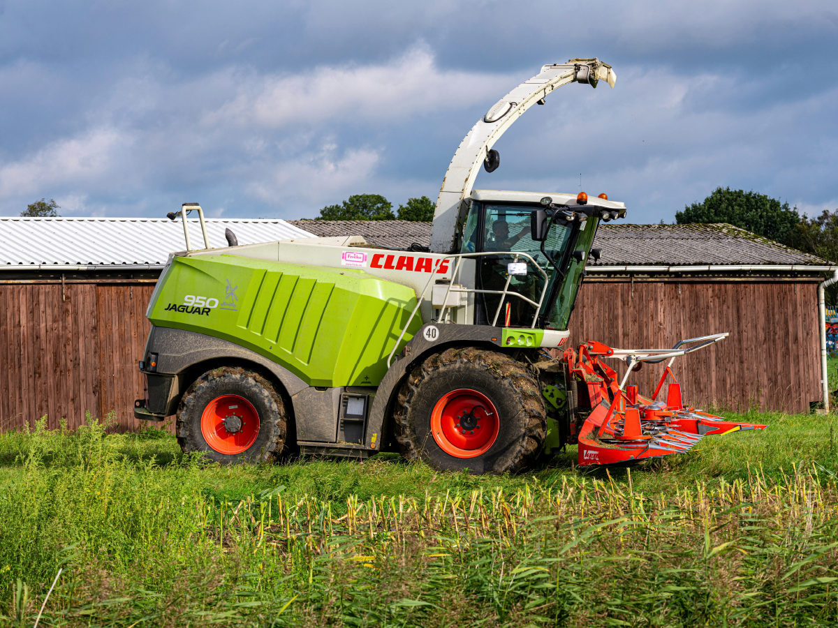 Claas Jaguar 950