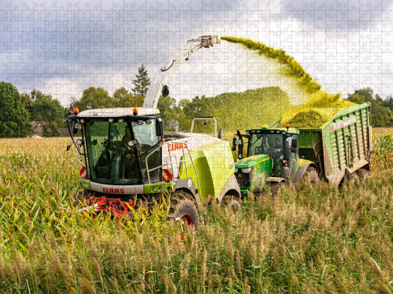 Claas Jaguar 950 und John Deere 6250R