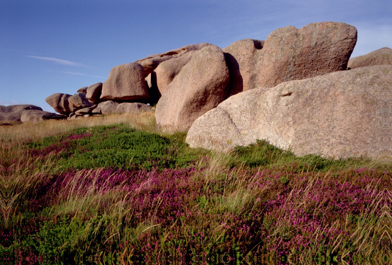 Ein Motiv aus dem Kalender Bretagne, die Côte de Granit Rose, rosa Granit in seiner schönsten Form.