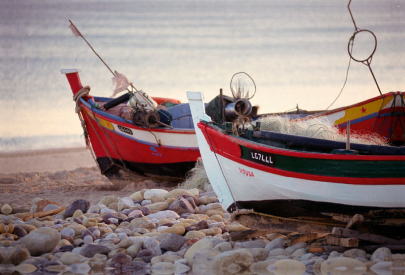 Ein Motiv aus dem Kalender Portugal, traditionelle Fischerboote