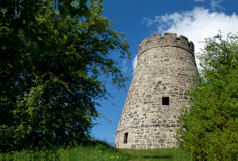 Windmühlenstumpf Barntrup