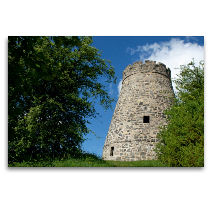 Windmühlenstumpf Barntrup