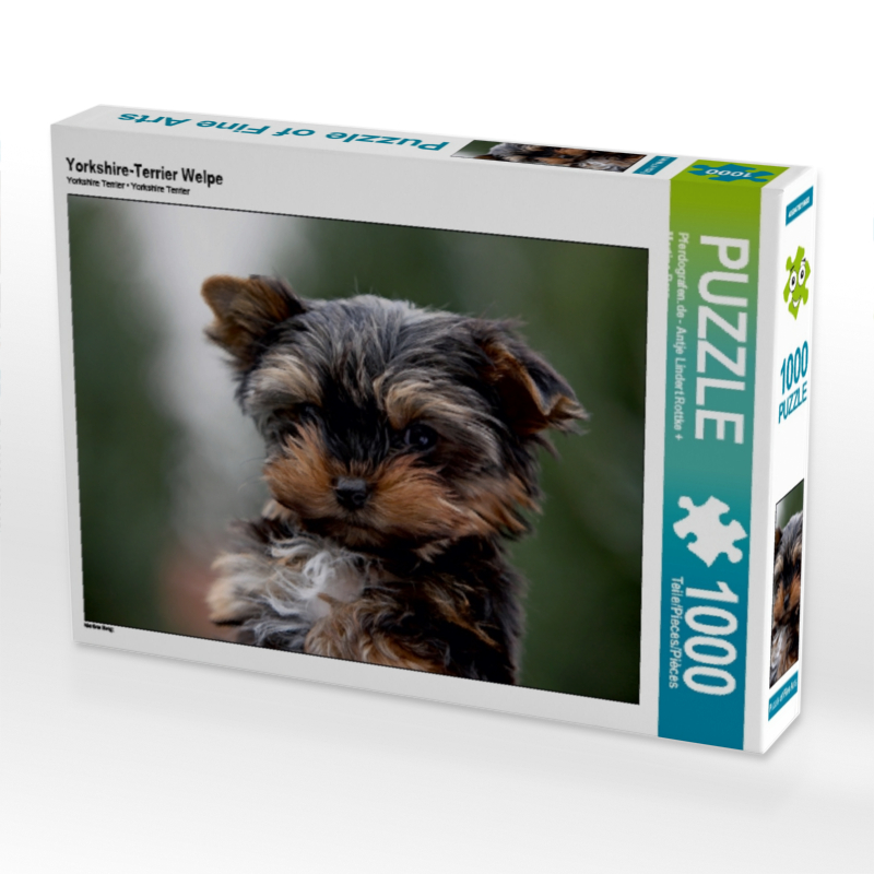 Yorkshire-Terrier Welpe