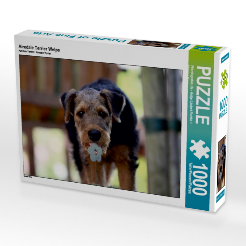 Airedale Terrier Welpe