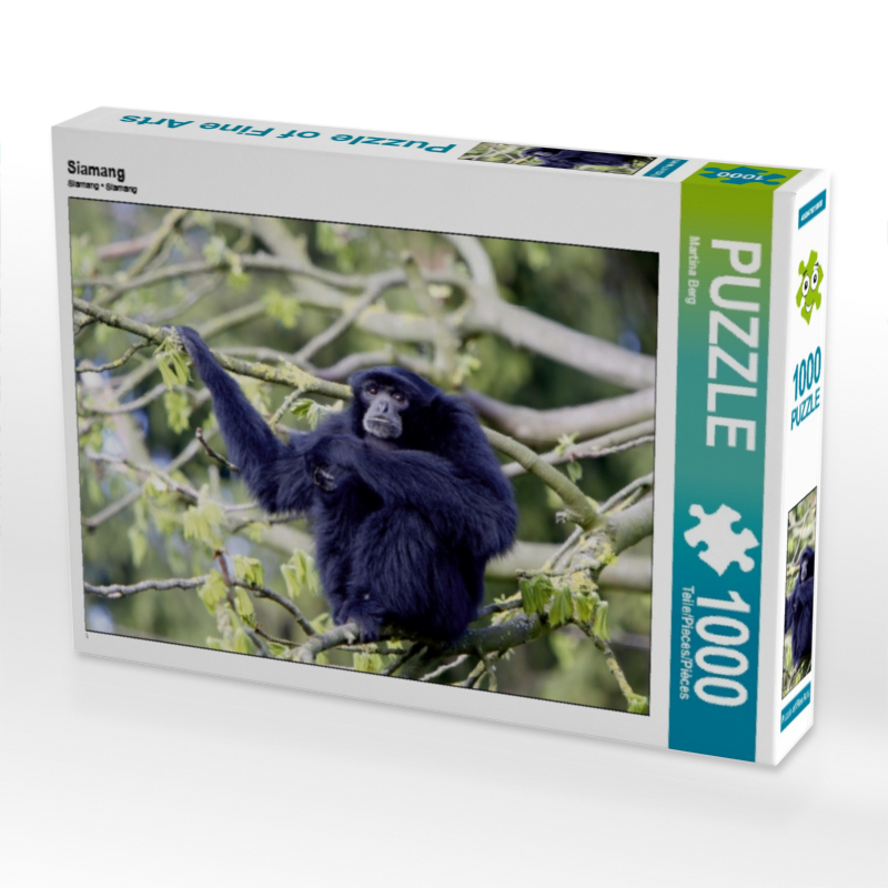 Siamang