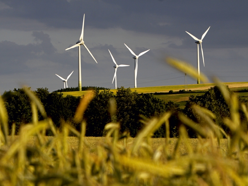 Landschaft mit Windkraftanlagen