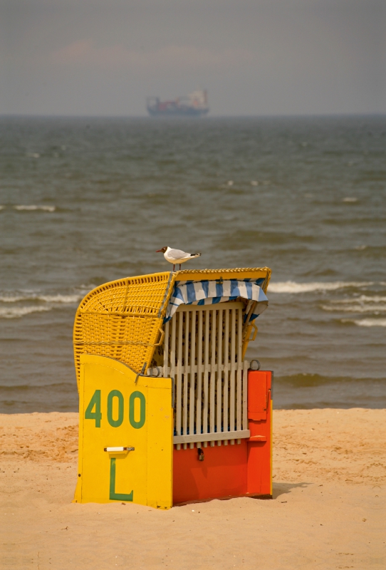 Strandkorb mit Möwe