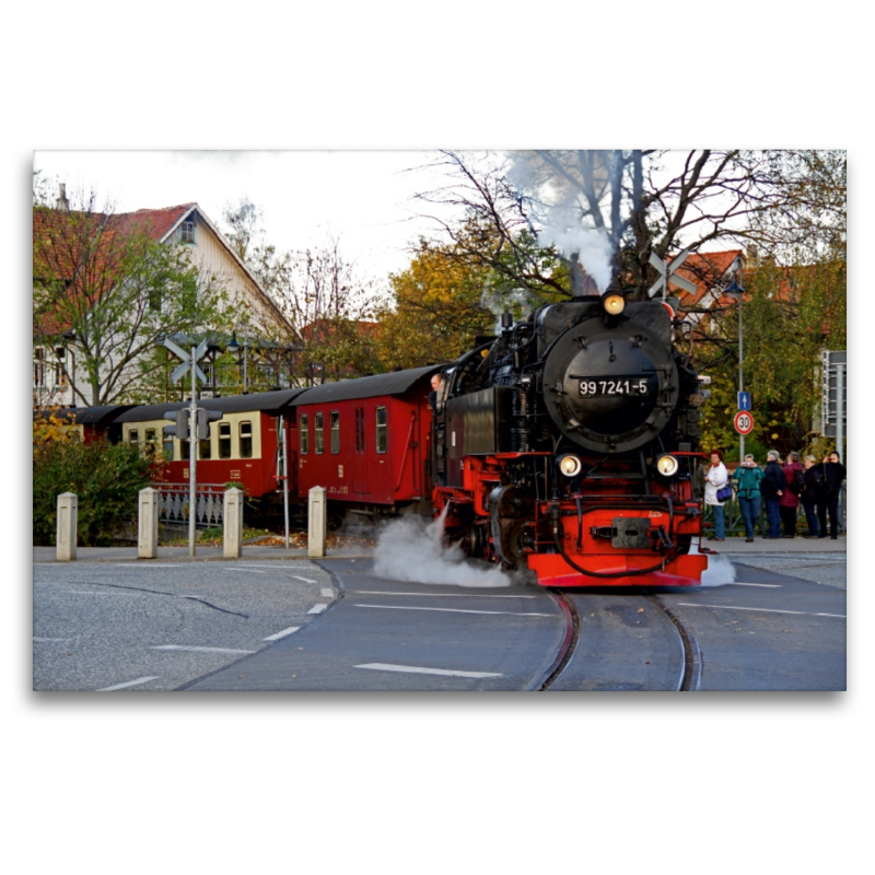 Mit der Schmalspurbahn auf den Harzer Brocken