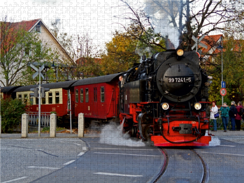 Mit der Schmalspurbahn auf den Harzer Brocken