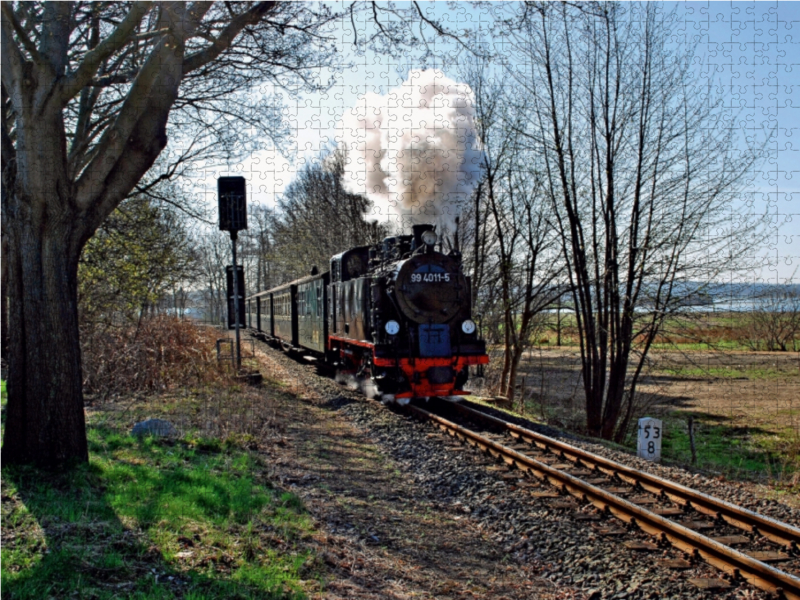 Inselbahn ' Rasender Roland'