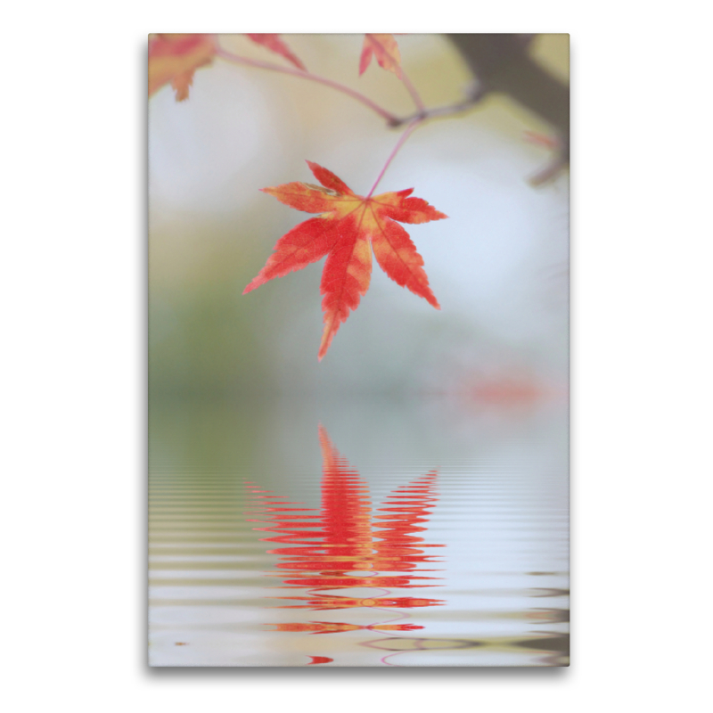 herbstliches Ahornblatt mit Spiegelung