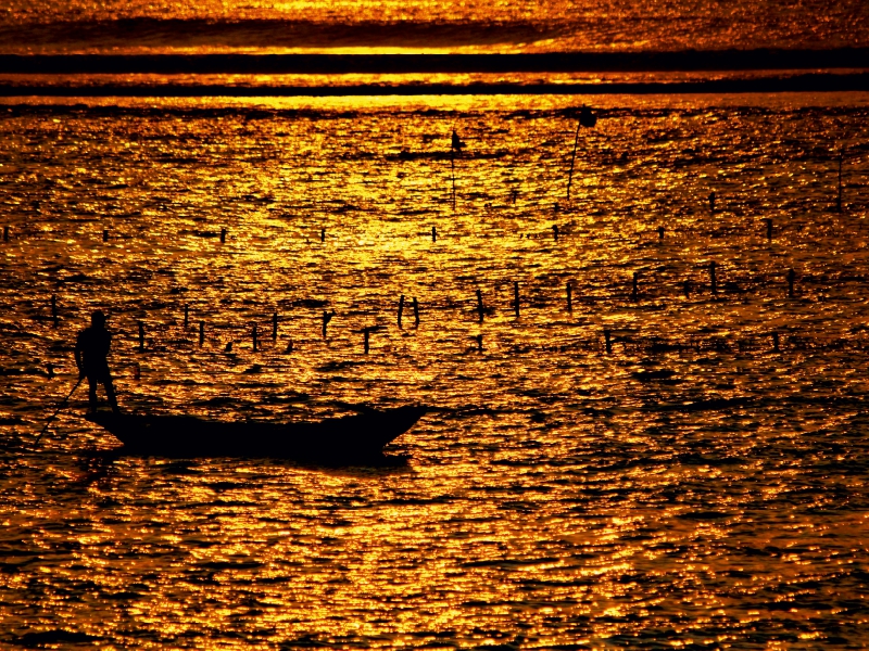 Mann mit Boot bei der Algenernte, Bali