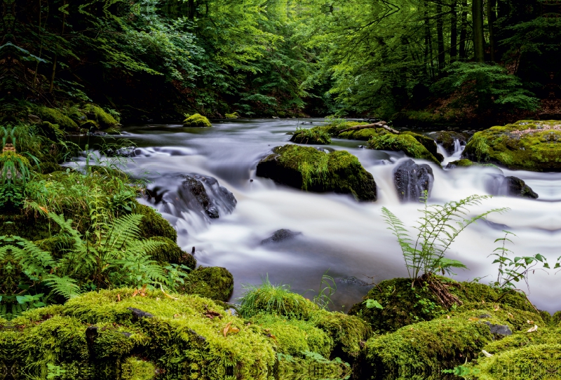 Sommer im Bodetal