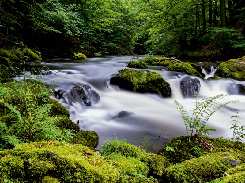 Sommer im Bodetal