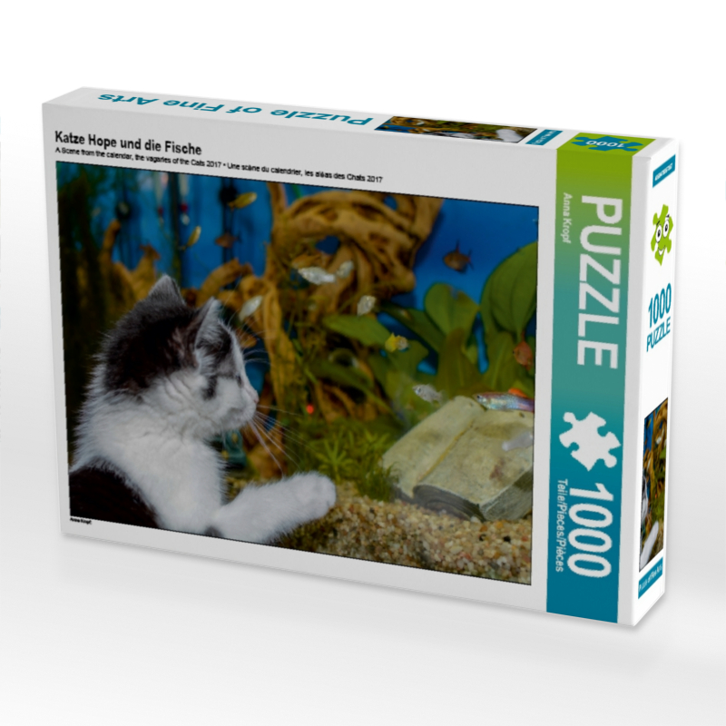 Katze Hope und die Fische