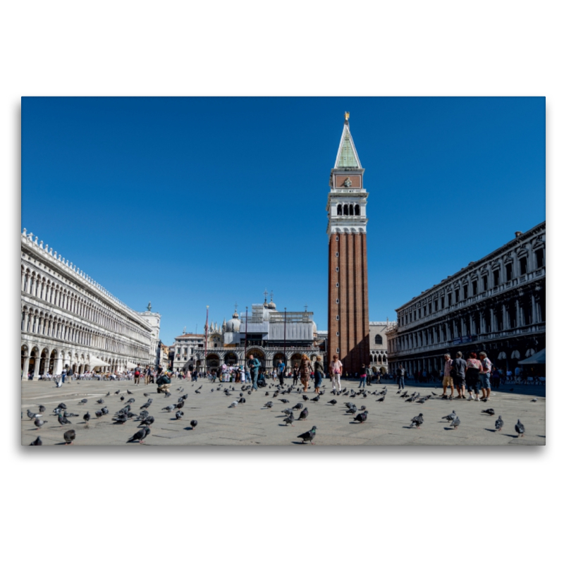 Piazza San Marco (Marktplatz) mit Campanile