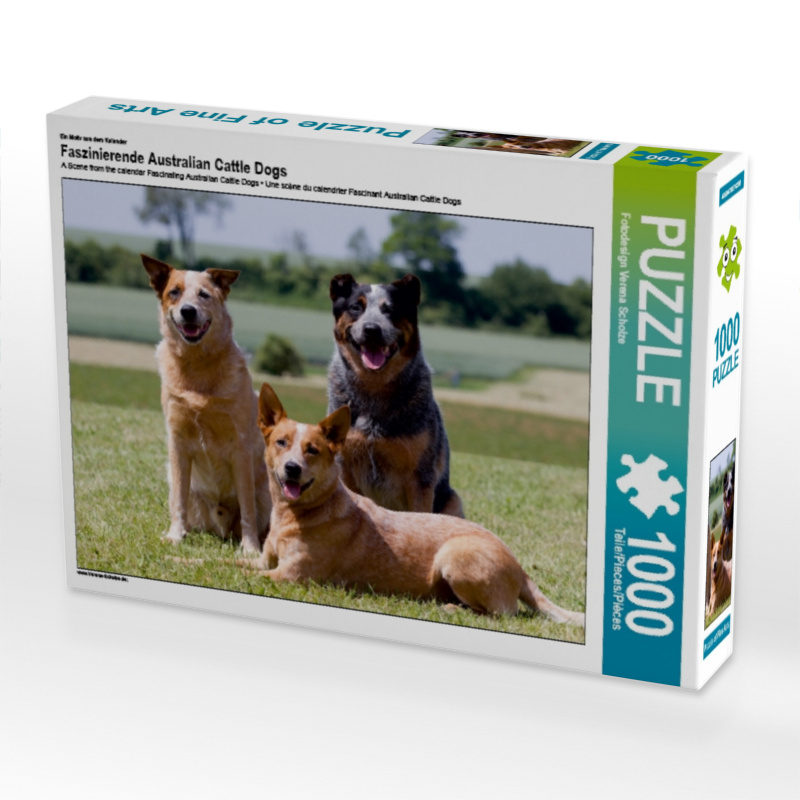 Ein Motiv aus dem Kalender Faszinierende Australian Cattle Dogs