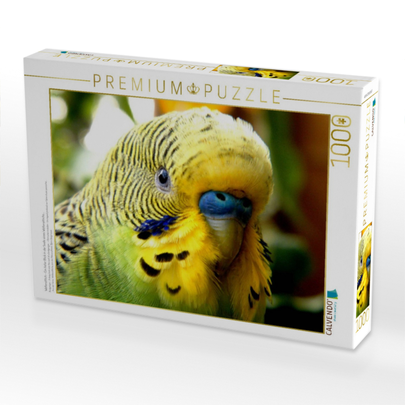 Wellensittich - Ein tiefer Blick in die Seele eines Wellensittichs...
