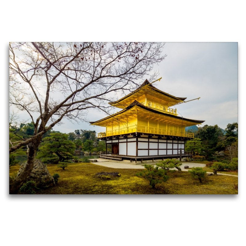 Kinkaku-ji 2