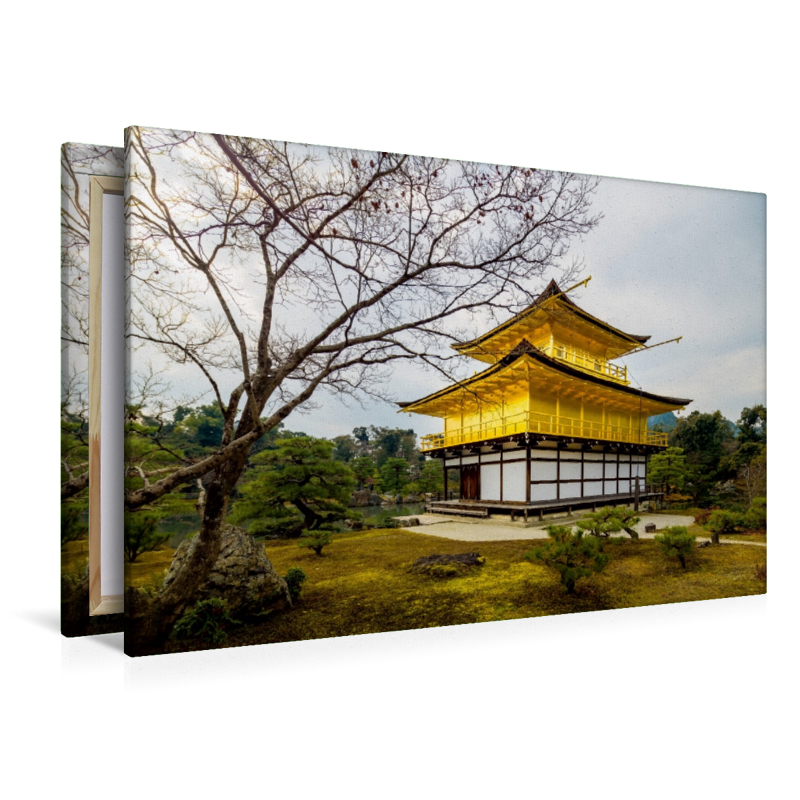 Kinkaku-ji 2