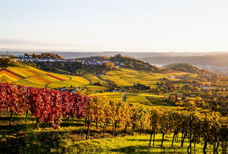 Rotenberg mit der Grabkapelle auf dem Württemberg