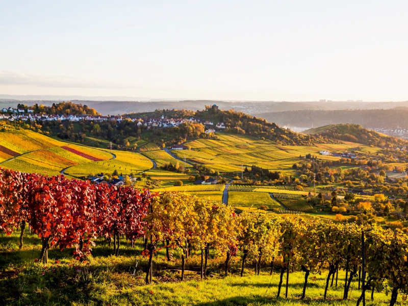 Rotenberg mit der Grabkapelle auf dem Württemberg