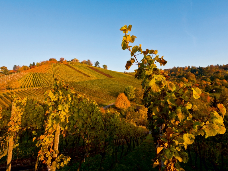 Rotenberg mit der Grabkapelle auf dem Württemberg