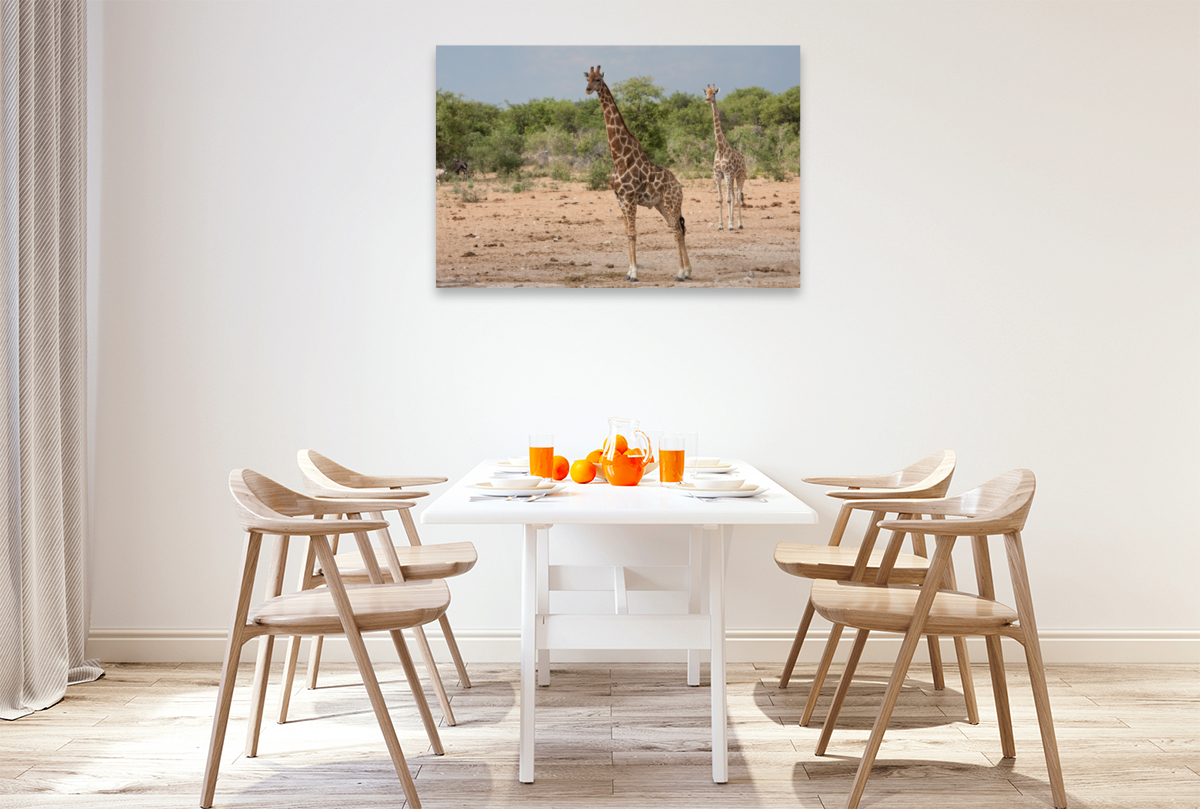 Giraffen im Etosha Nationalpark