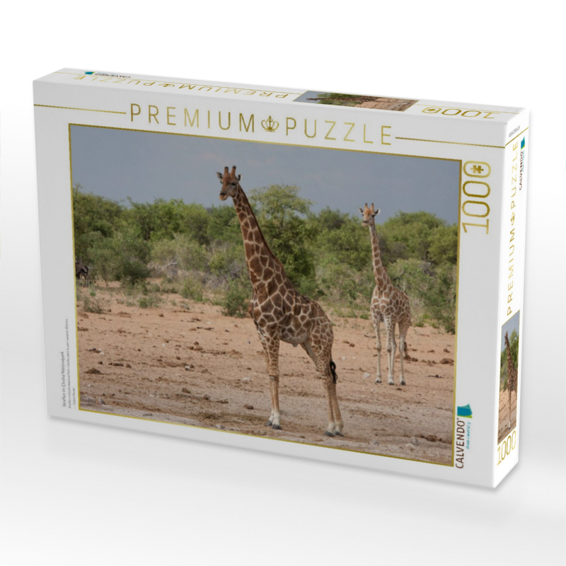 Giraffen im Etosha Nationalpark