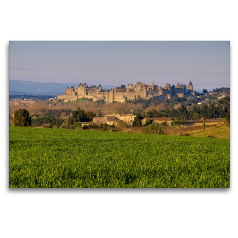 Carcassonne im Abendlicht