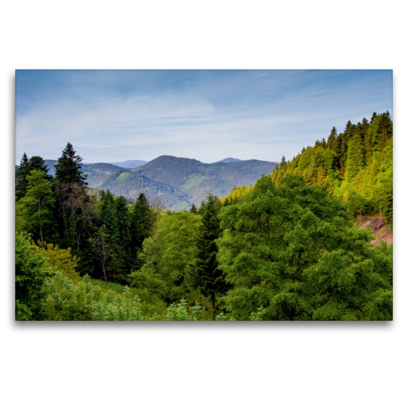 Schwarzwald-Panorama