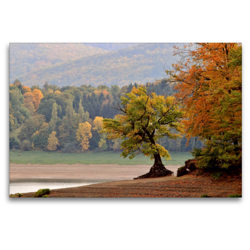 Herbst am Schiefen Baum