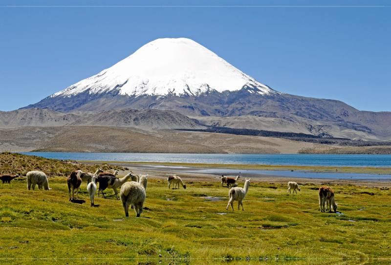 Parinacota Vulkan, Lauca Nationalpark, Norte Grande