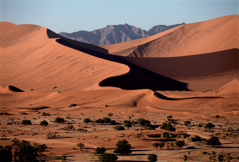 Dünenlandschaft im Namib-Naukluft-Nationalpark