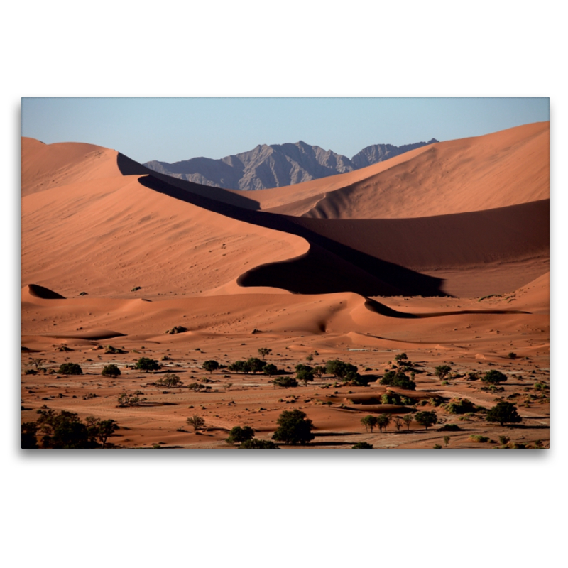 Dünenlandschaft im Namib-Naukluft-Nationalpark