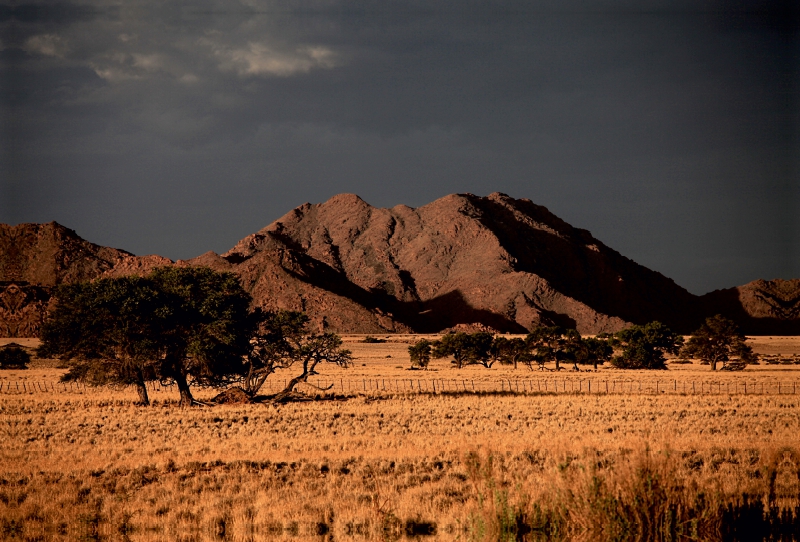 Landschaft im Namib-Naukluft-Nationalpark