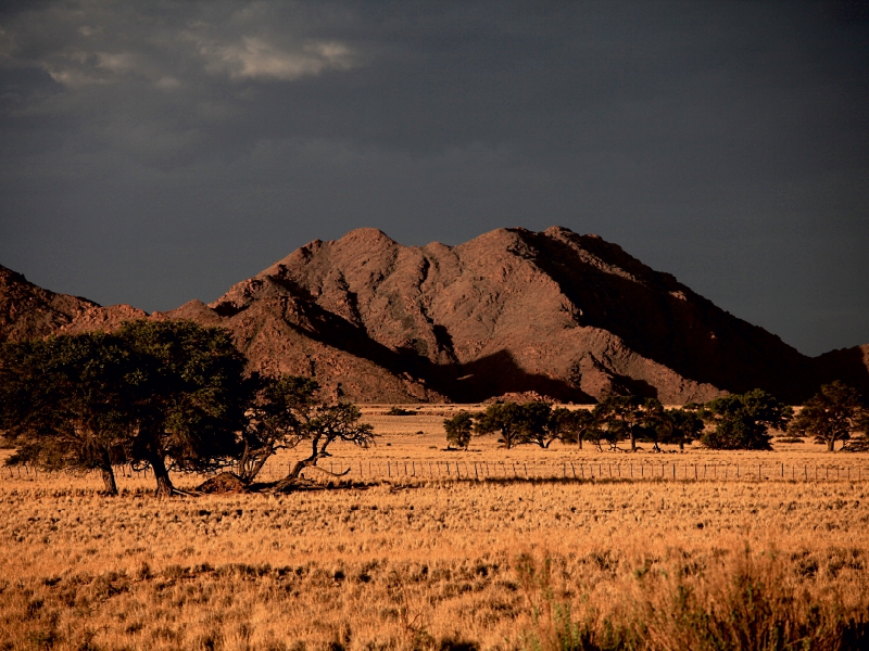 Landschaft im Namib-Naukluft-Nationalpark