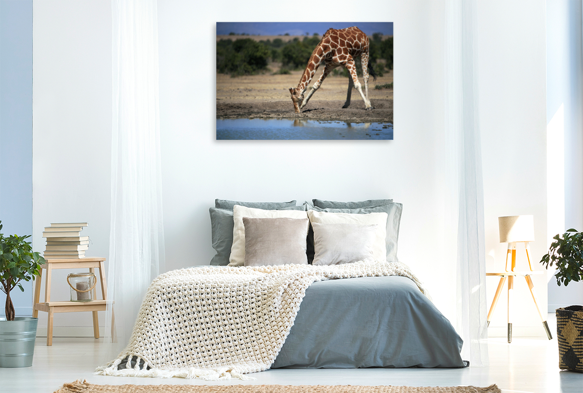 Giraffen – Im Flussbett