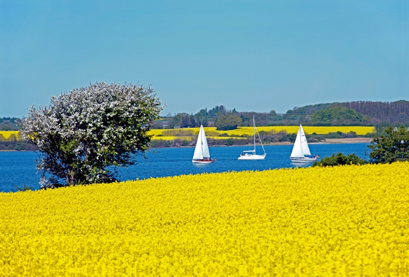 Ostseefjord Schlei