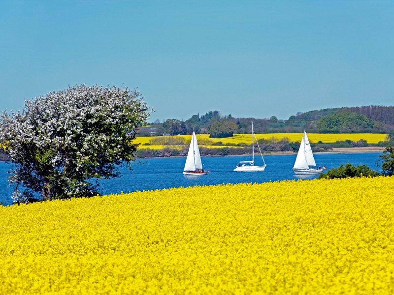 Ostseefjord Schlei