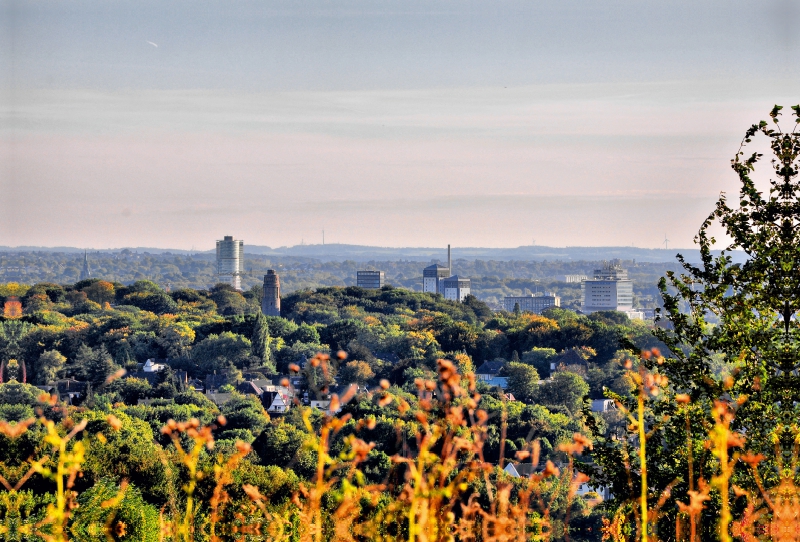 Blick zum Zentrum vom Tippelsberg