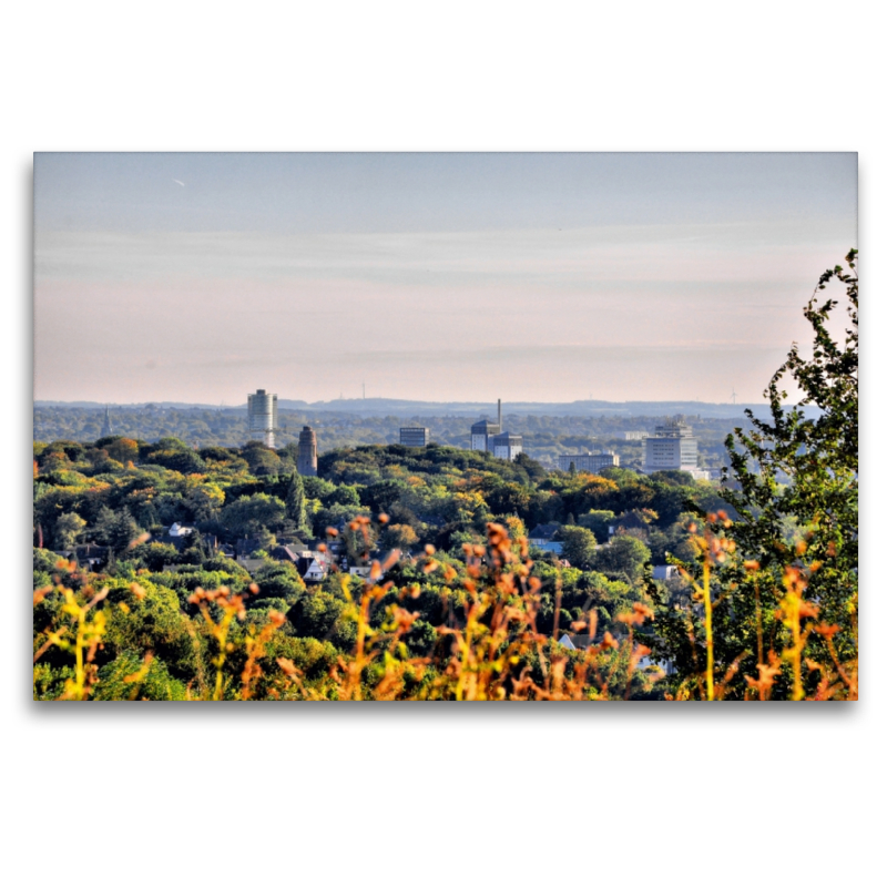 Blick zum Zentrum vom Tippelsberg